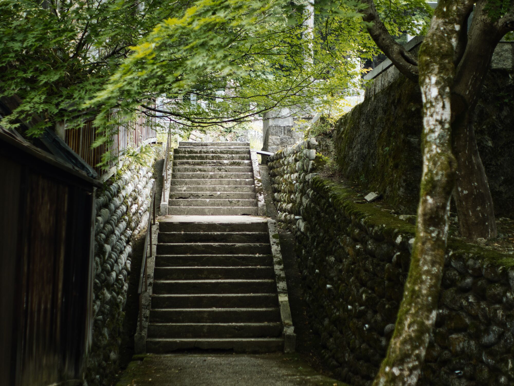 Hida Takayama/Toyama - On verra bien