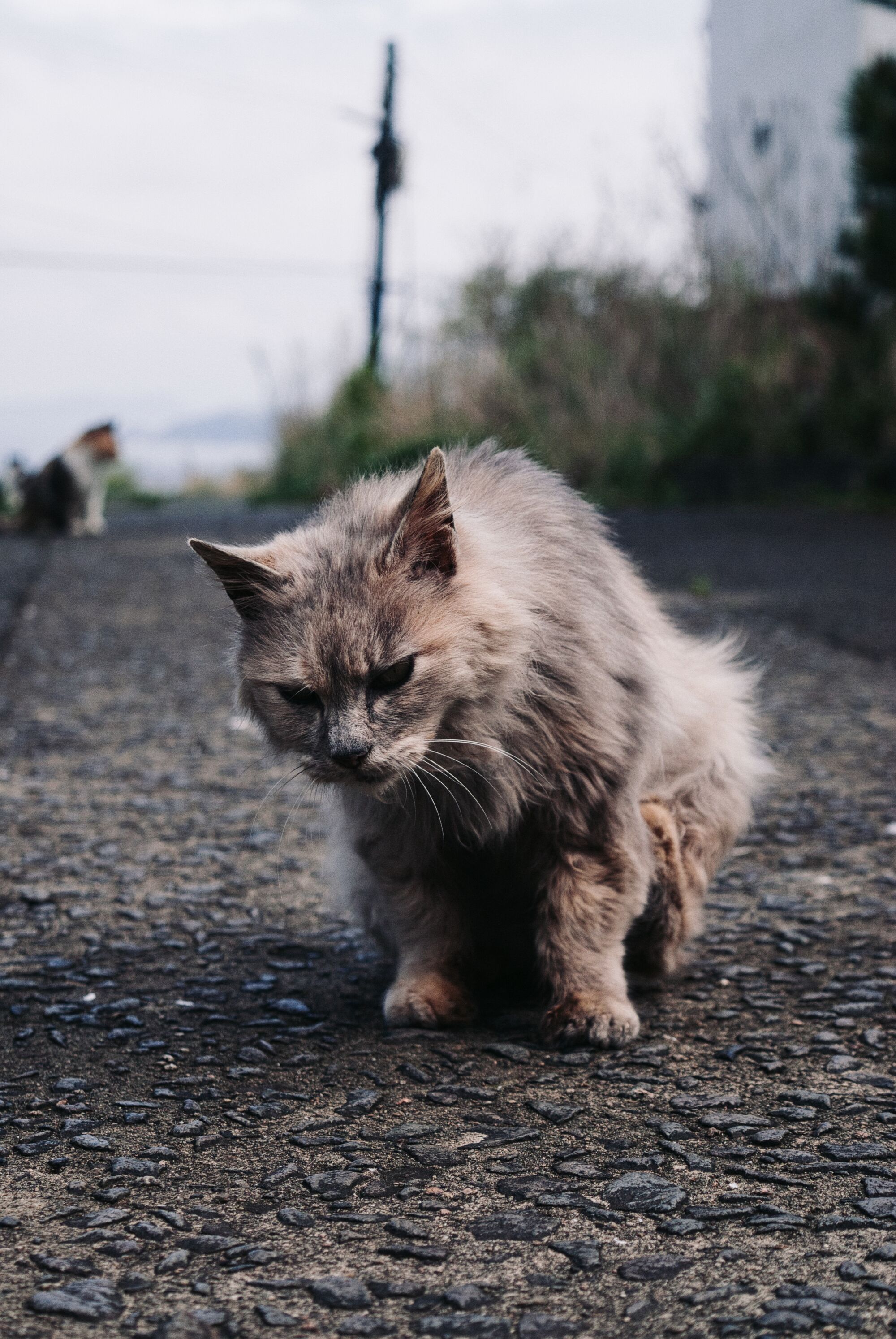 Ikeshima Coalmine - On verra bien