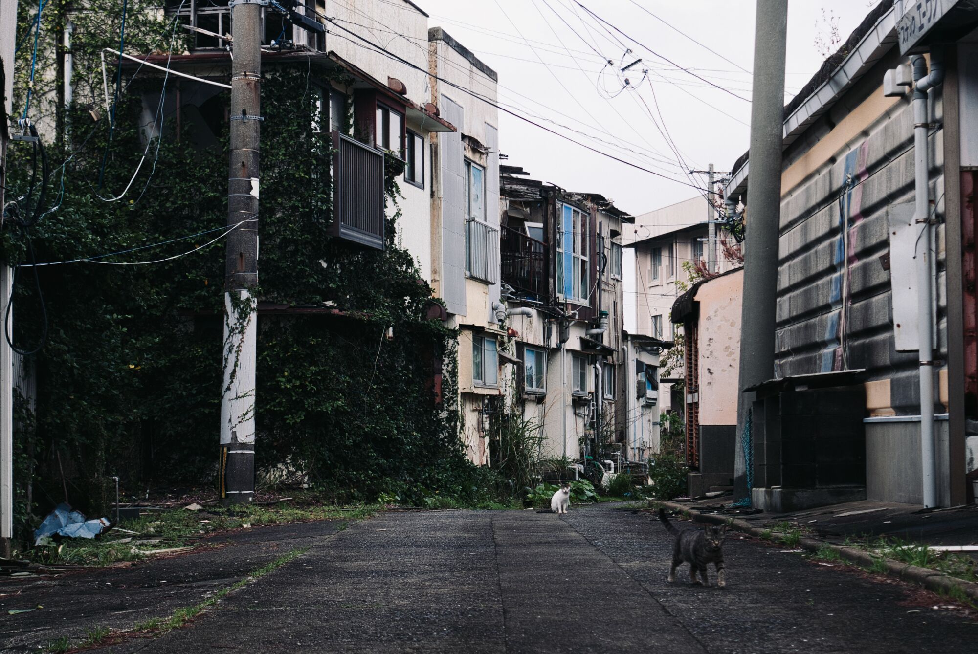 Ikeshima Coalmine - On verra bien