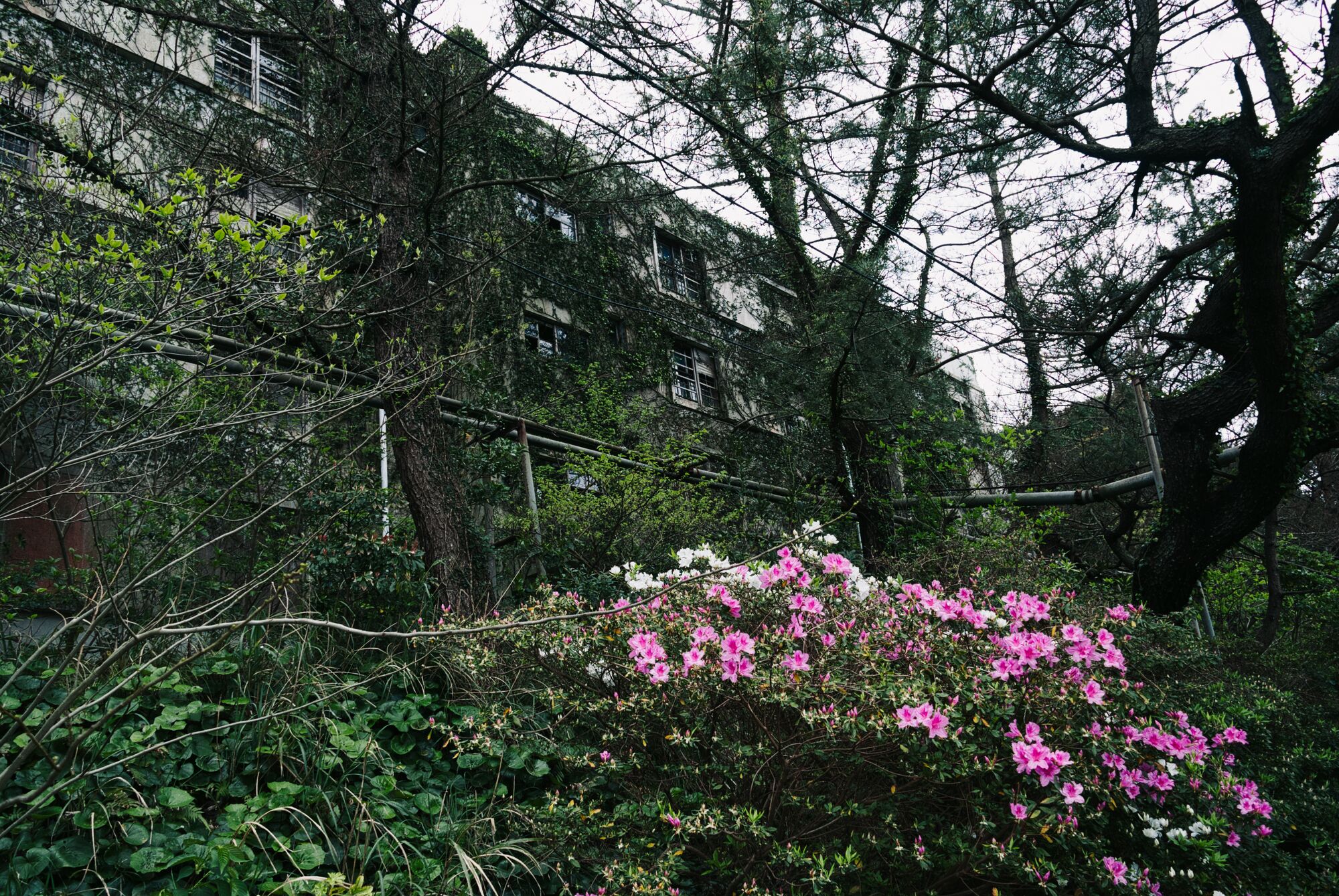 Ikeshima Coalmine - On verra bien