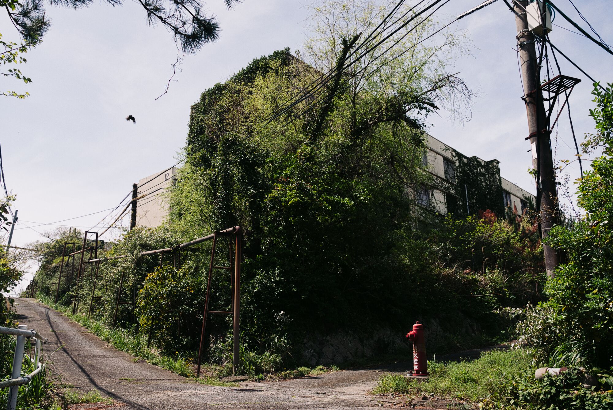 Ikeshima Coalmine - On verra bien