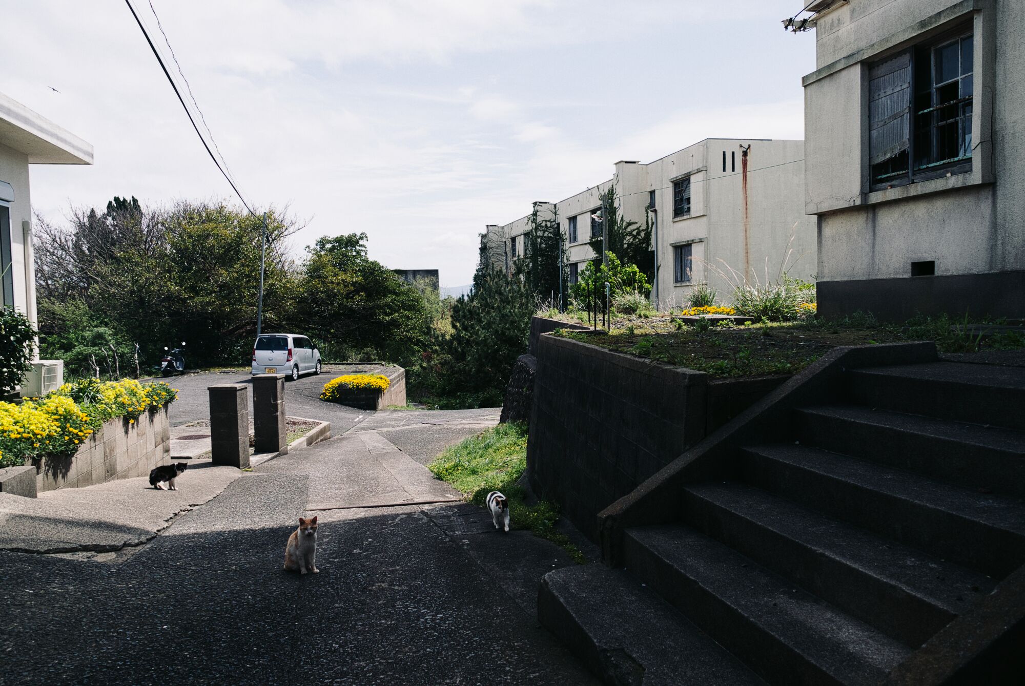 Ikeshima Coalmine - On verra bien