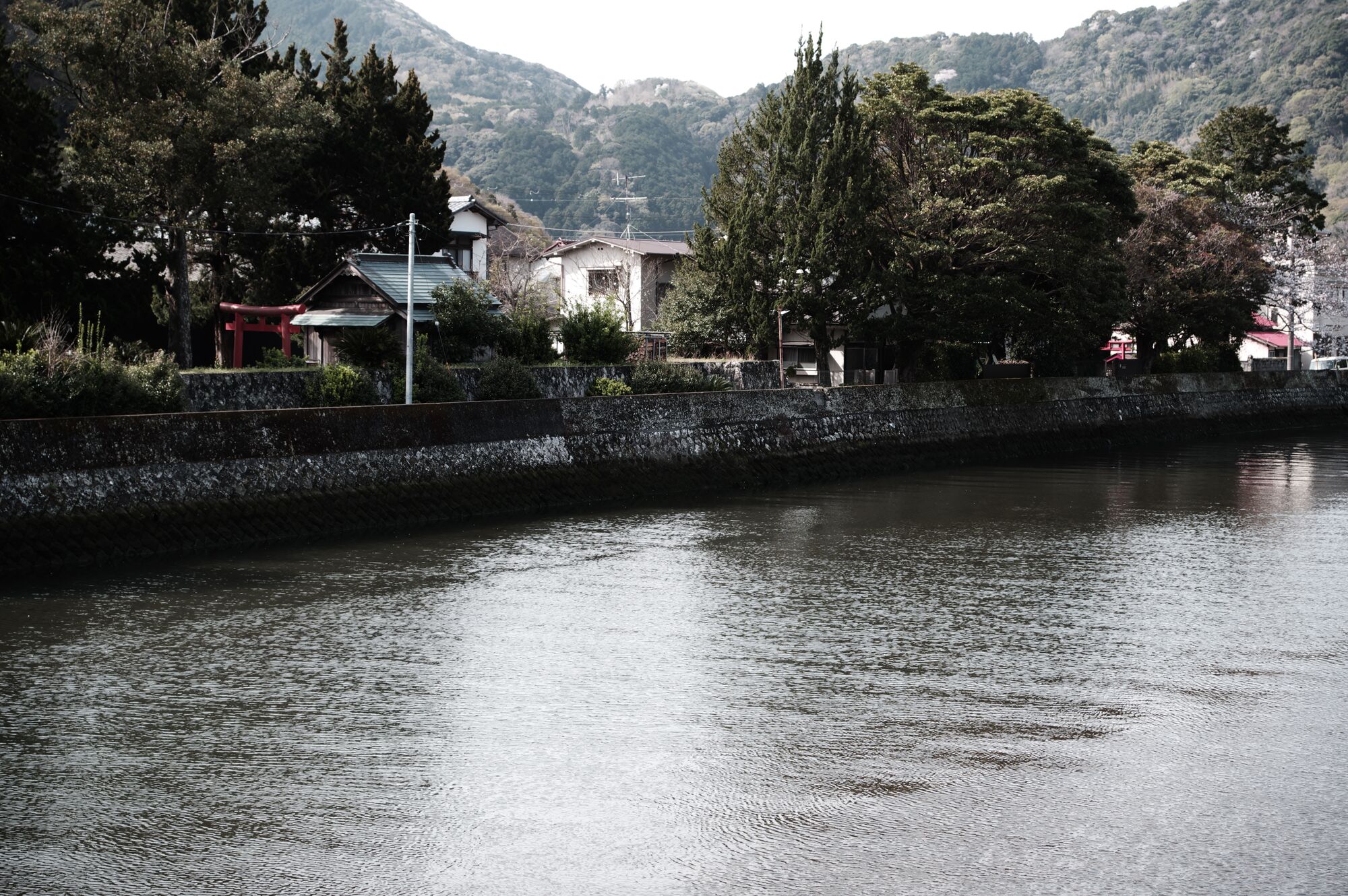 Izu - On verra bien