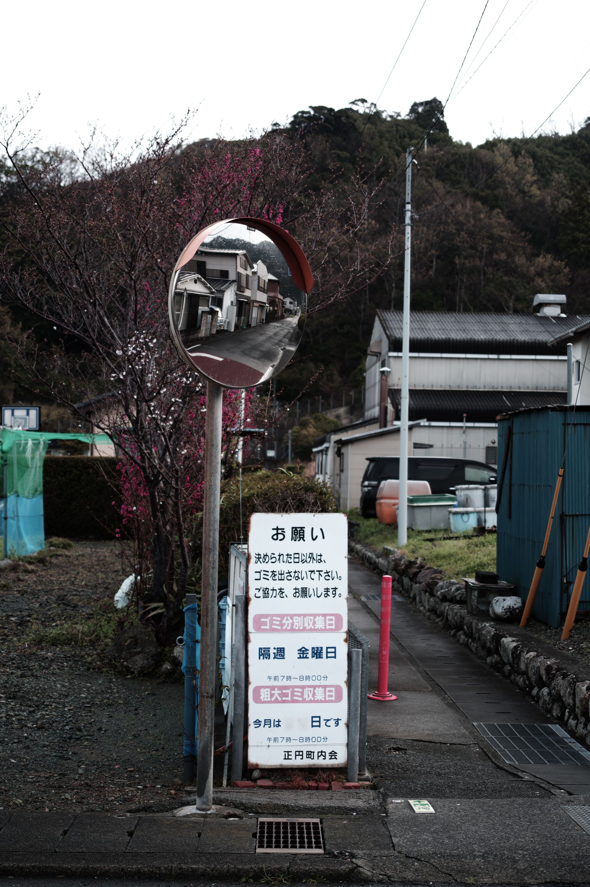 Izu - On verra bien