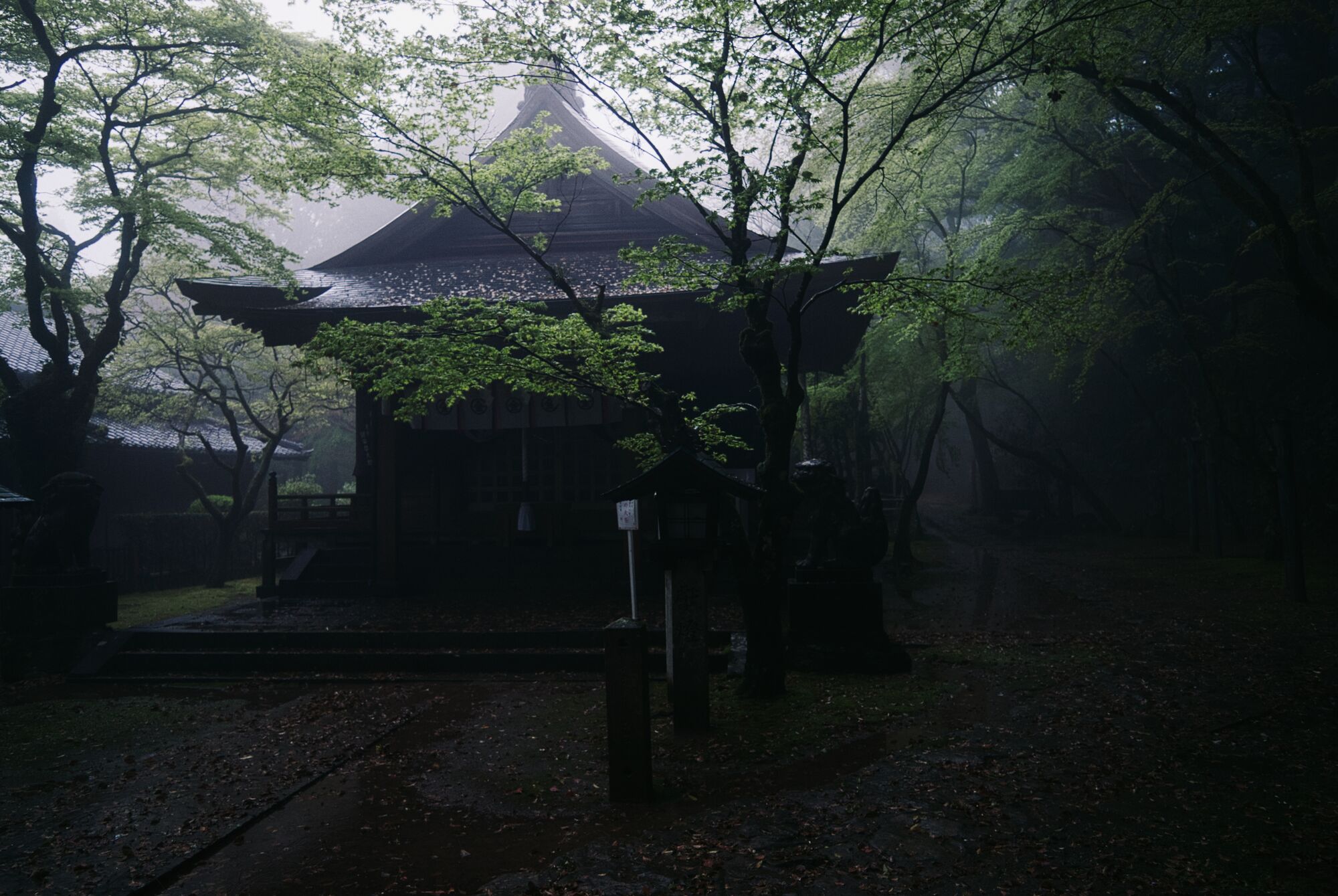 Nagasaki - On verra bien