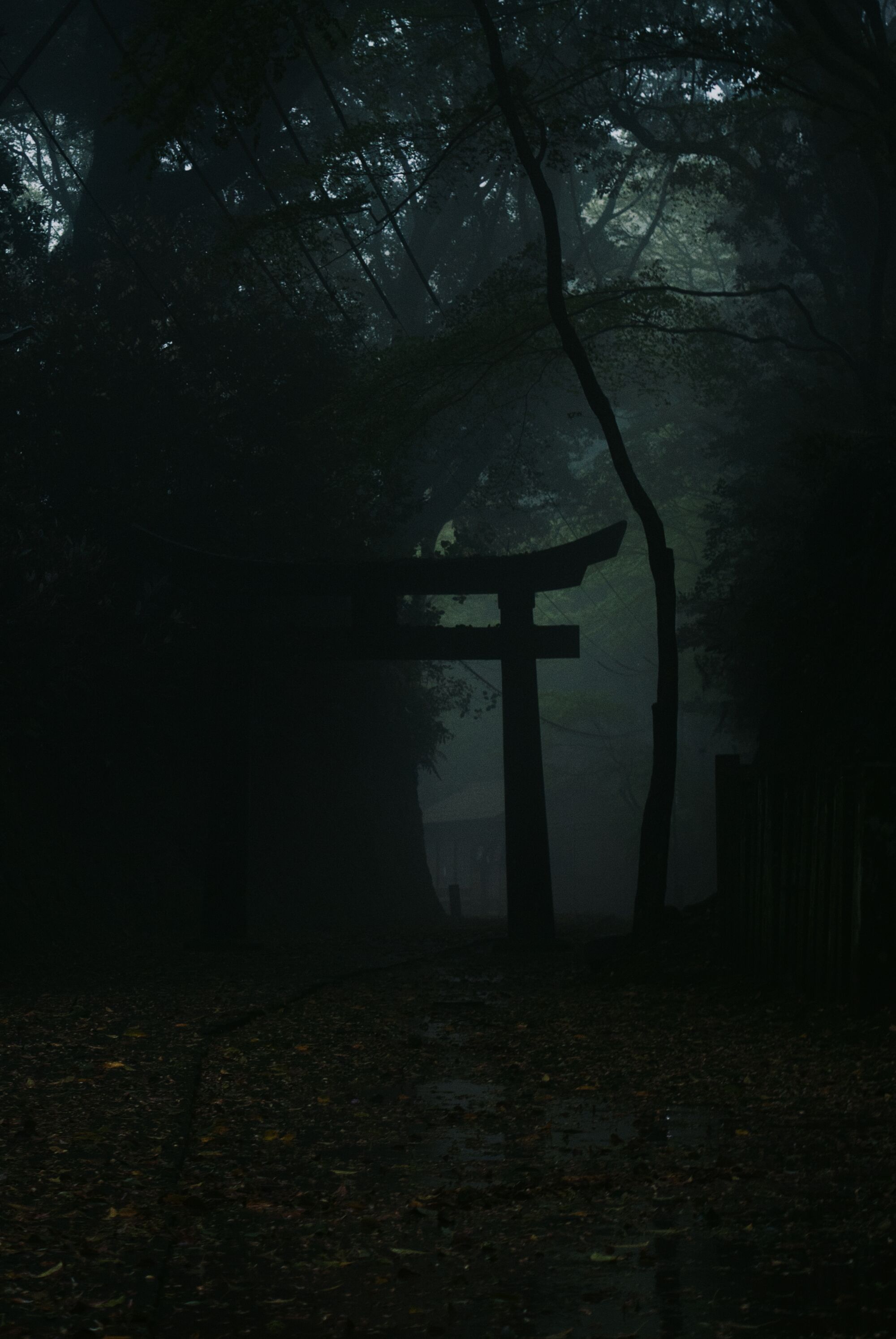 Nagasaki - On verra bien
