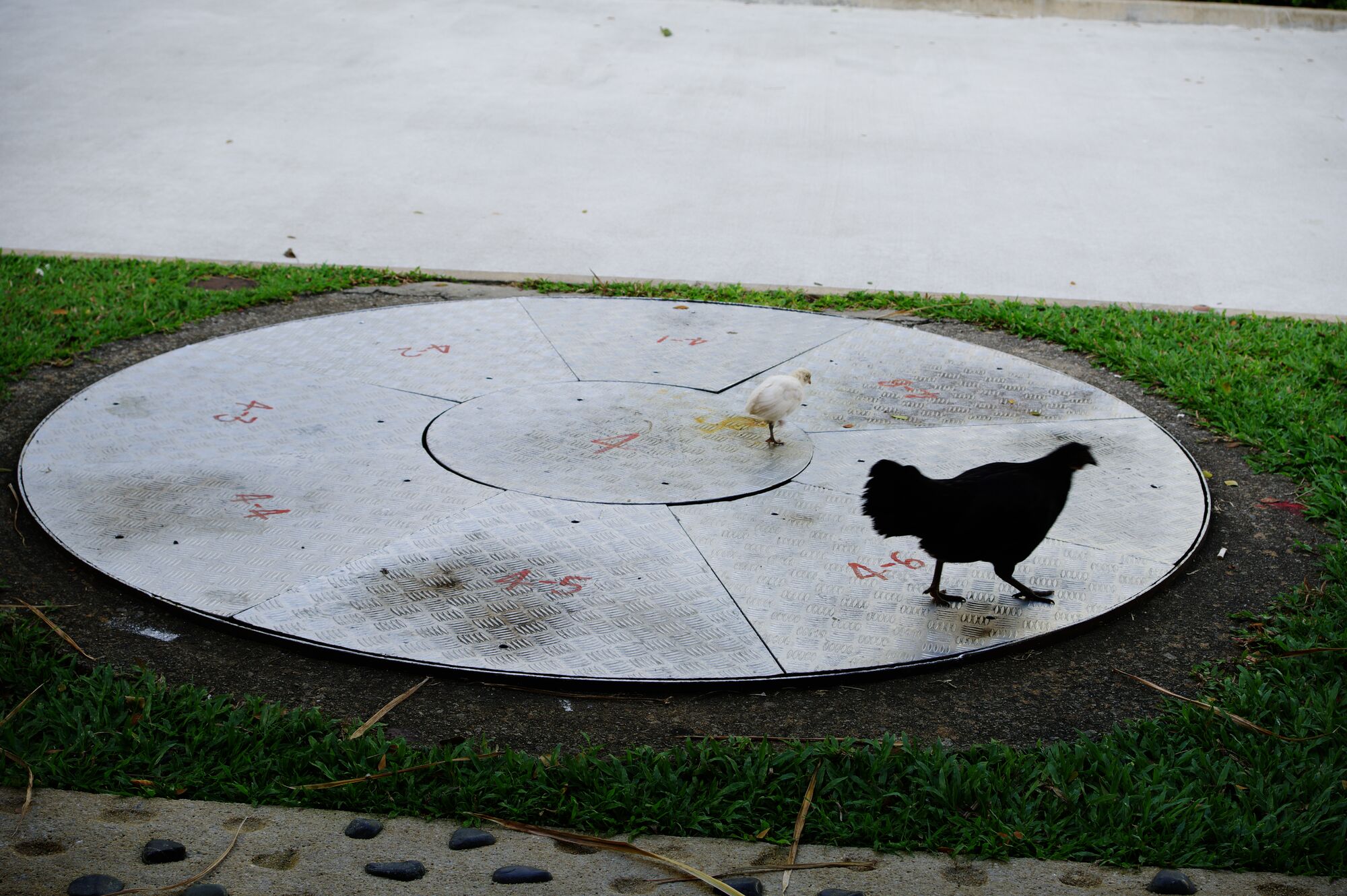 Singapore - On verra bien