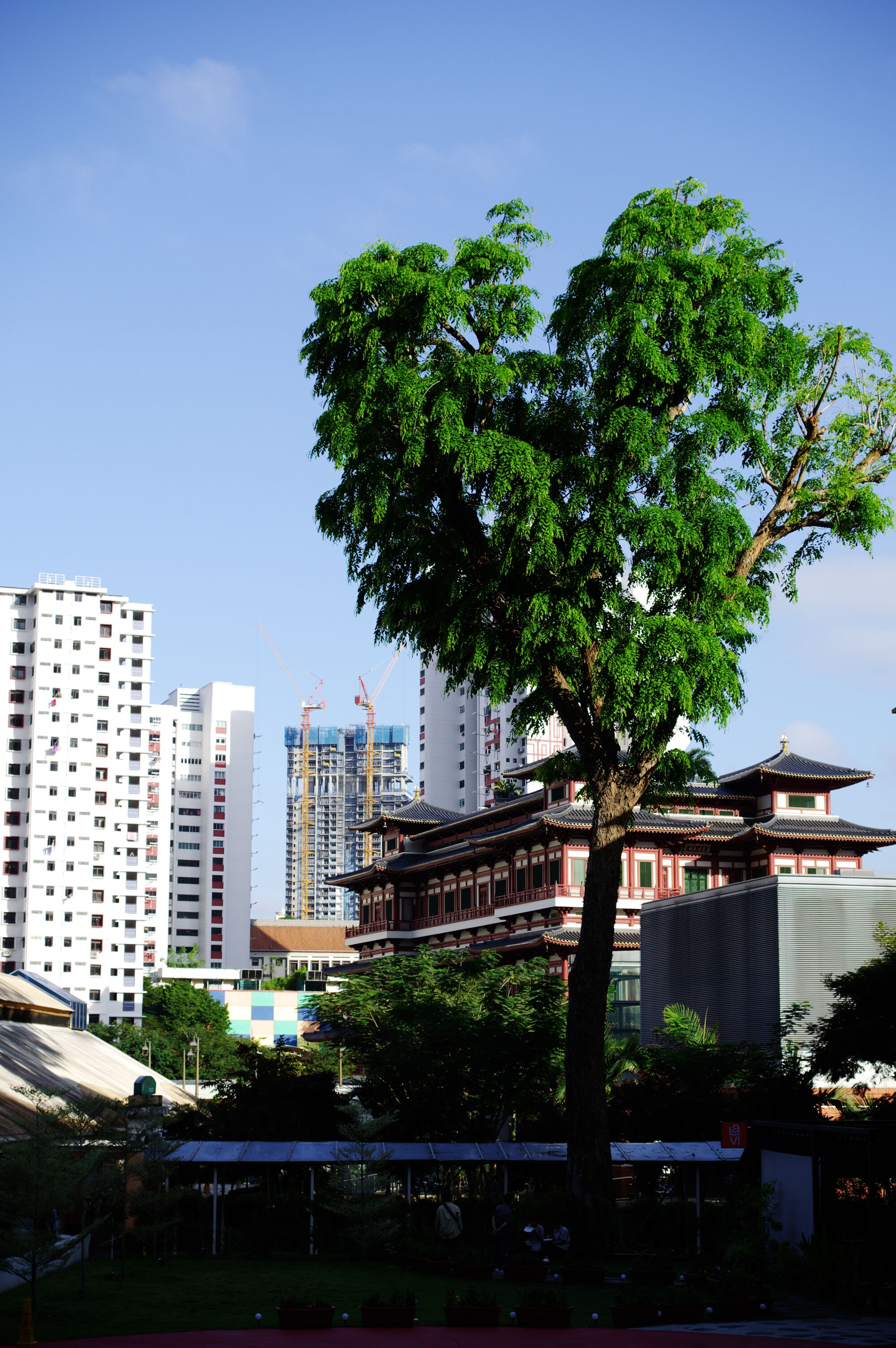 Singapore - On verra bien