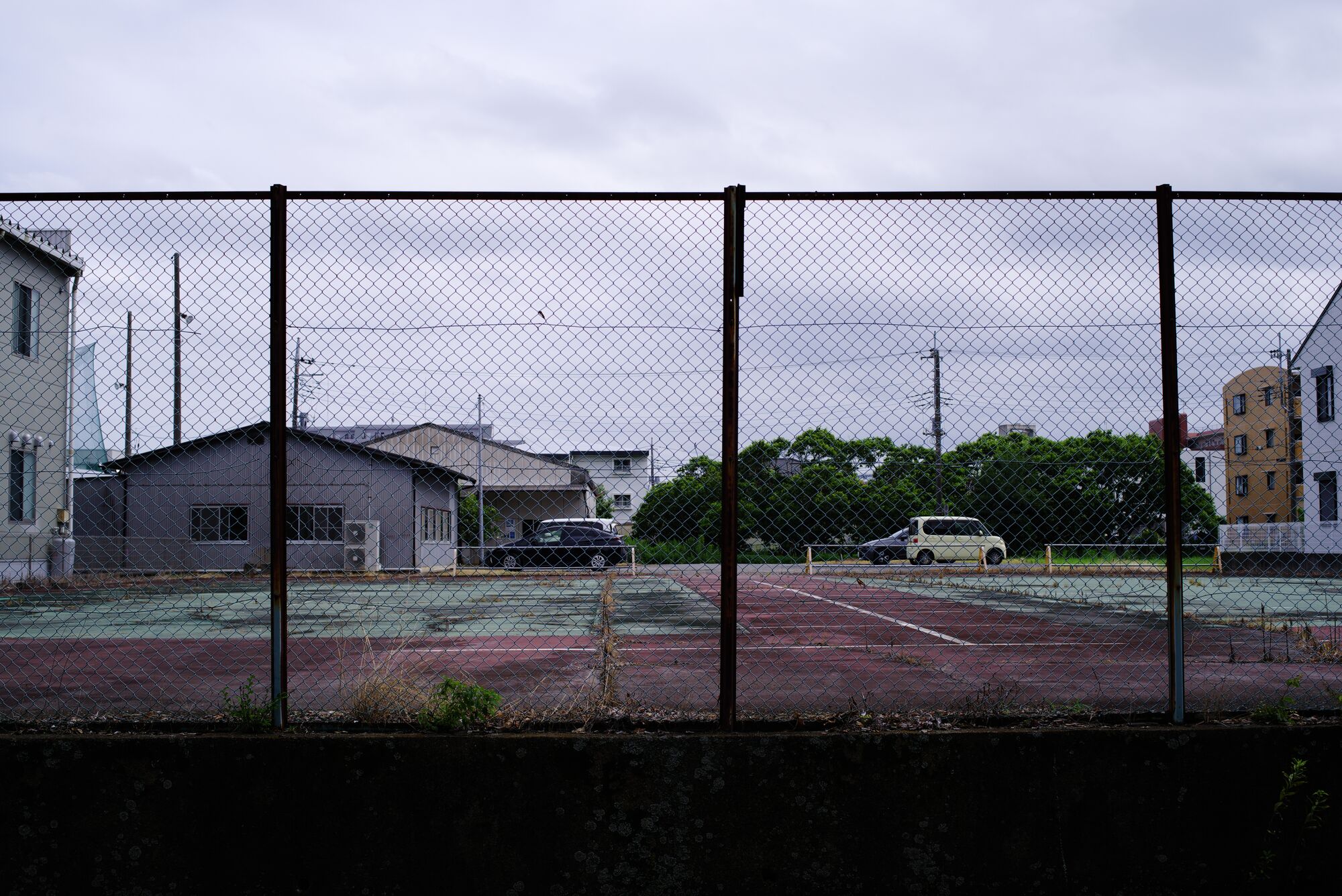 Tsukuba - On verra bien