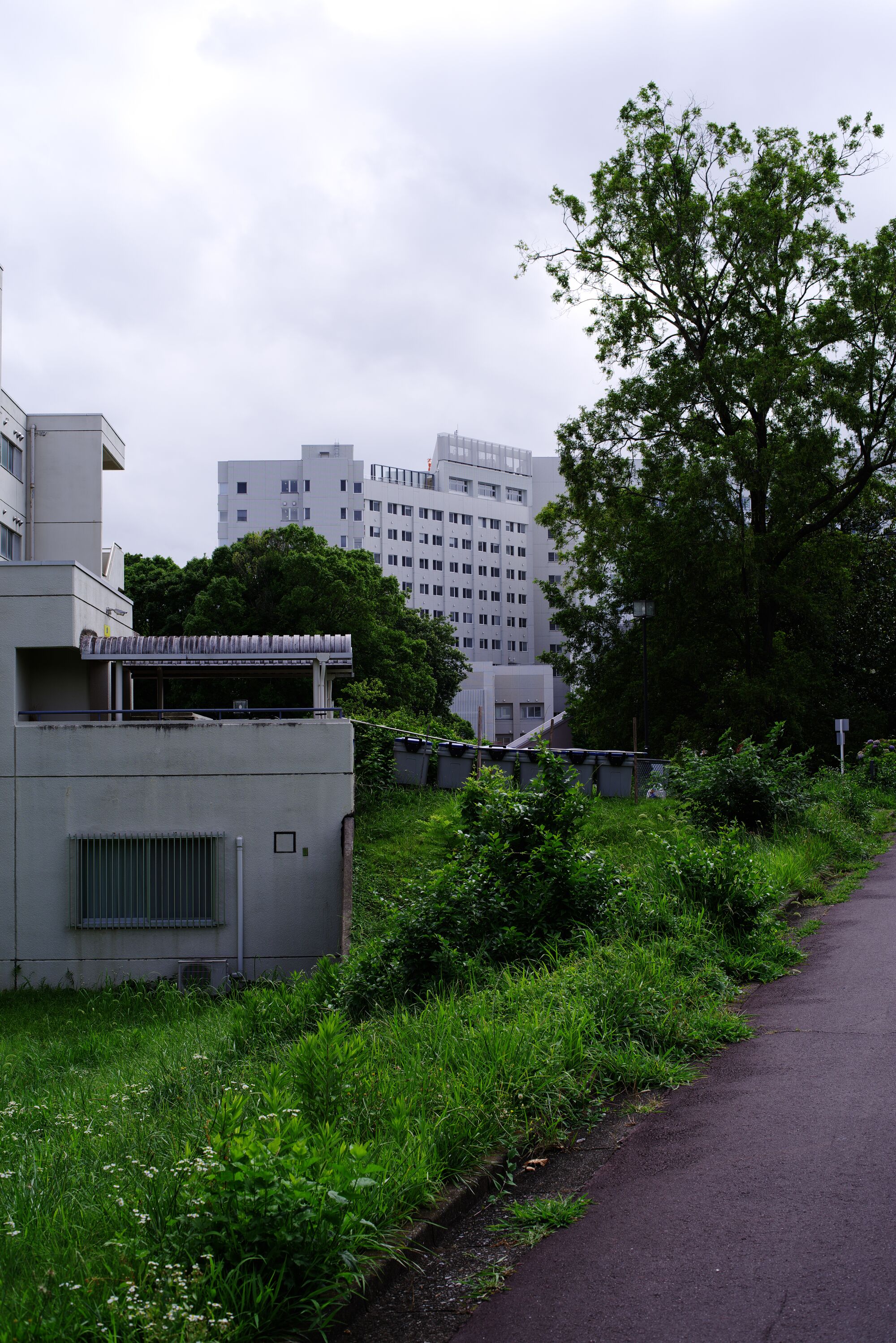 Tsukuba - On verra bien